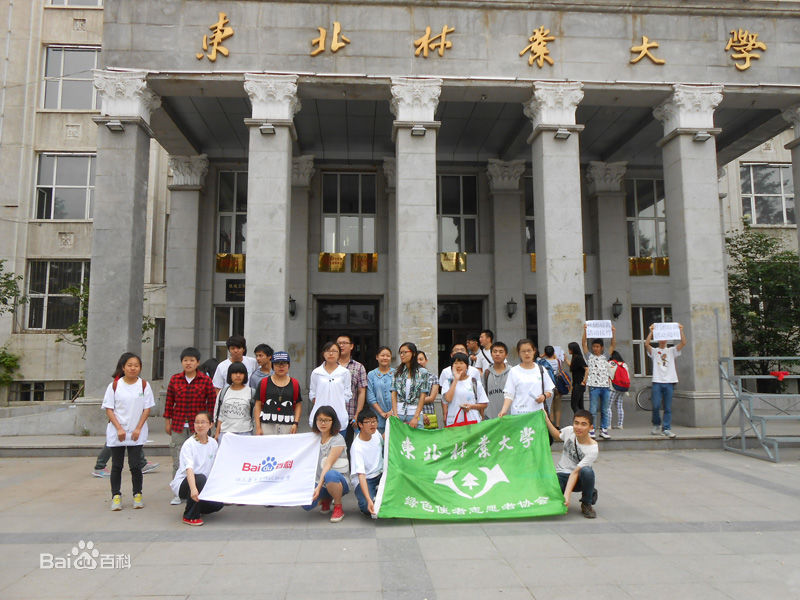 东北林业大学较高收费毕业证