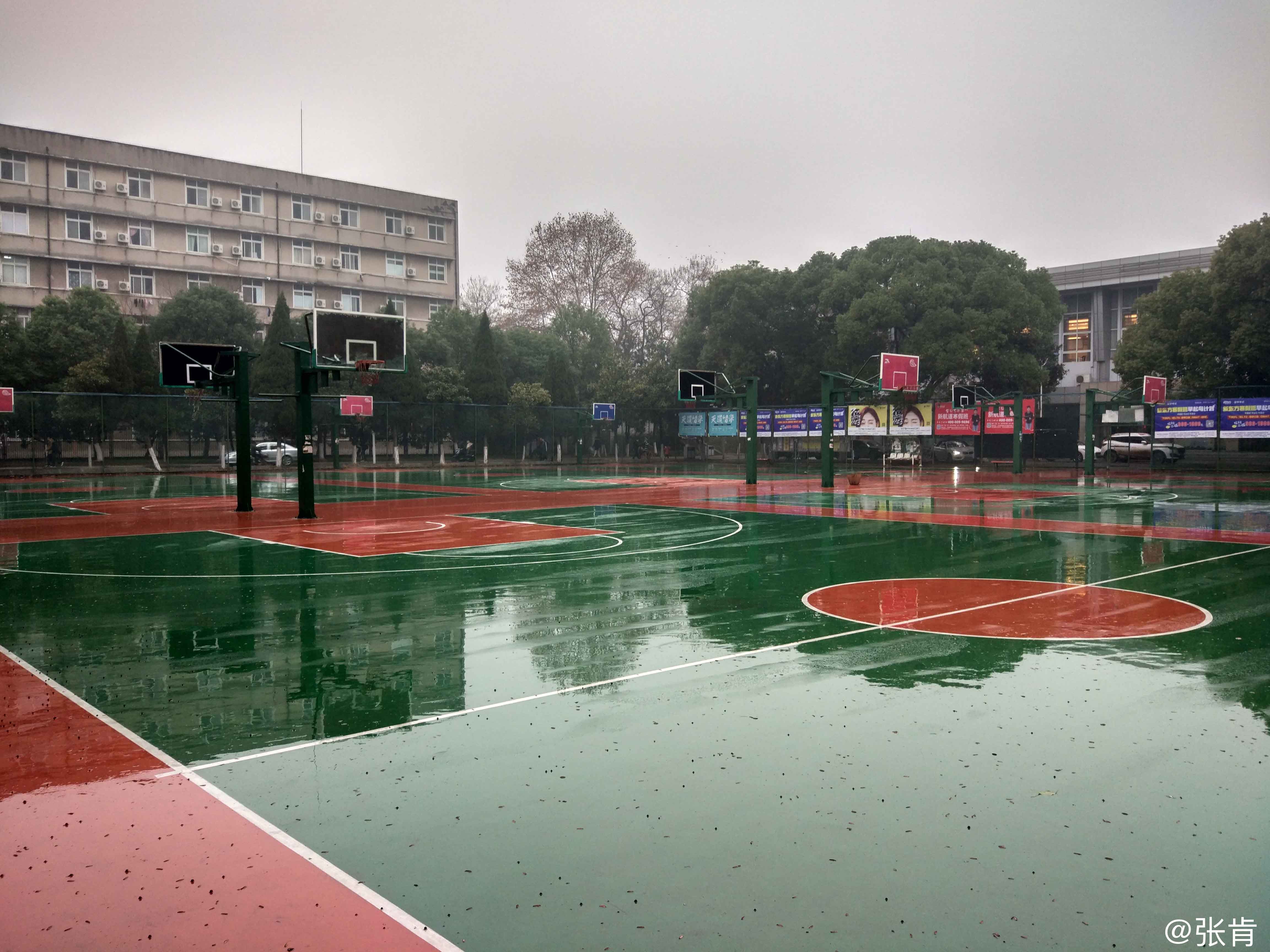 中南财经政法大学毕业证补办