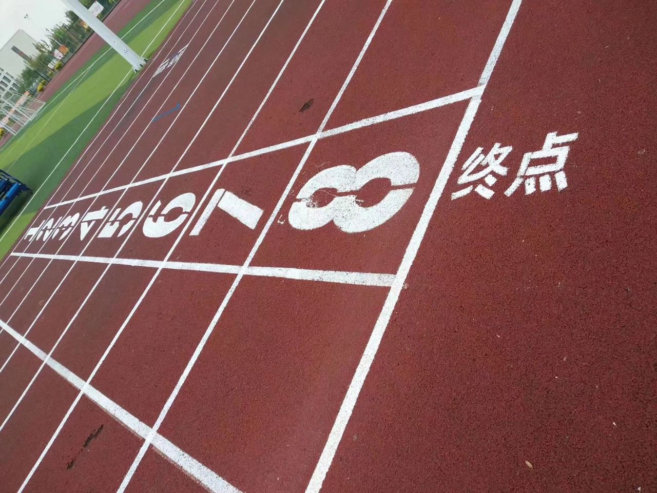 新疆大学毕业证成绩单查询