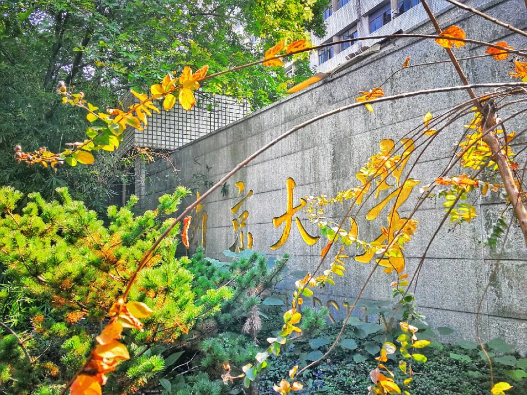 南京大学苏州校区