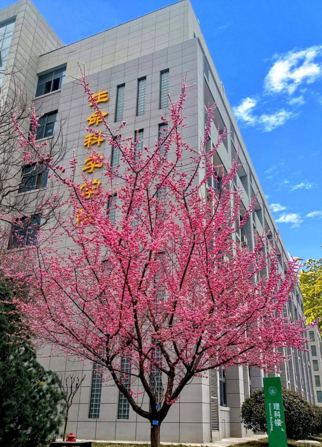 西北农林科技大学在哪个城市