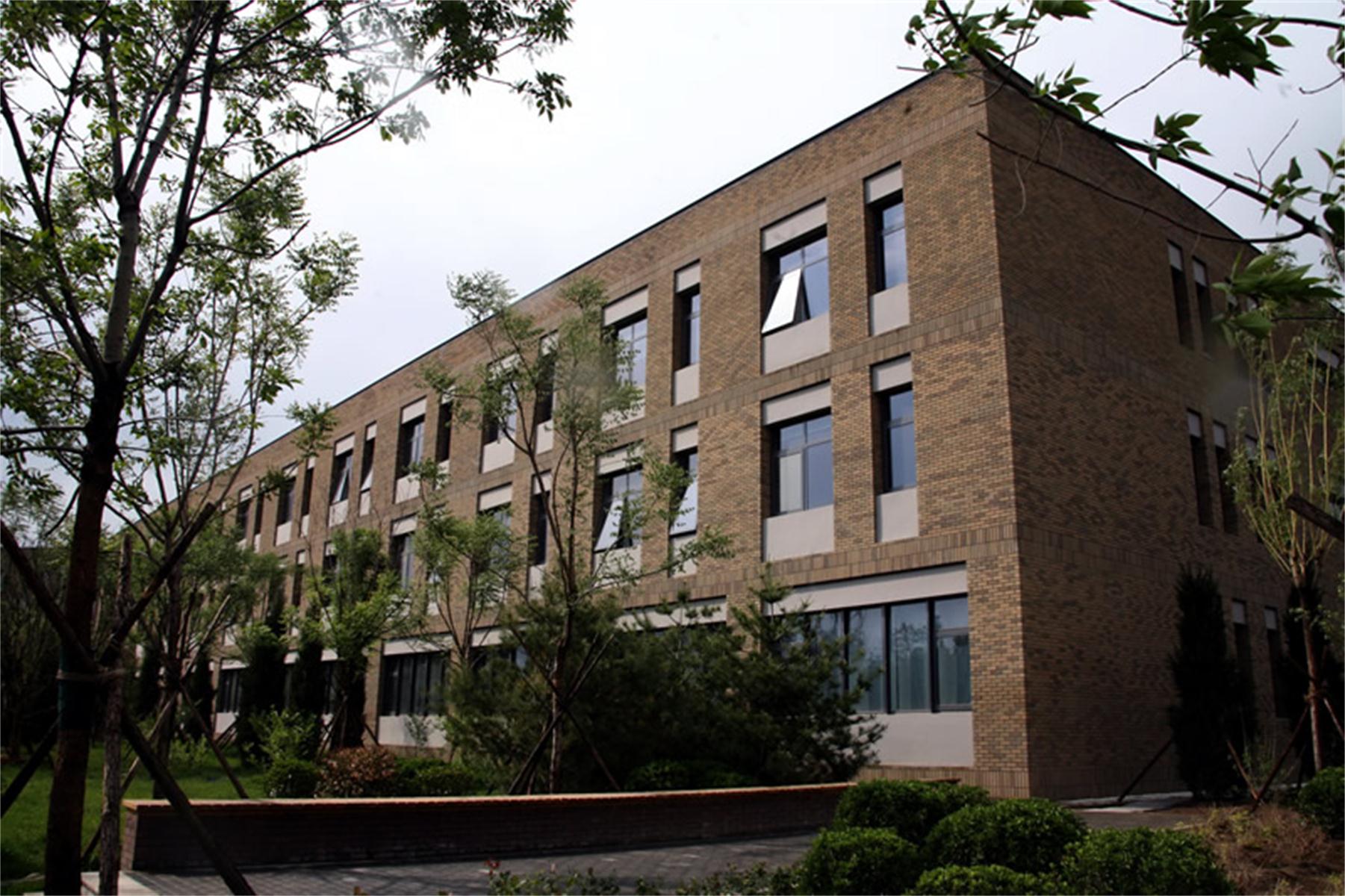 中央财经大学毕业证查询