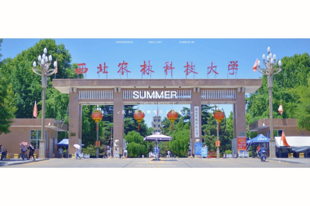 西北农林科技大学学子赴合阳支教