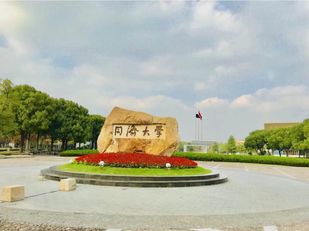同济大学录取分数线2025年