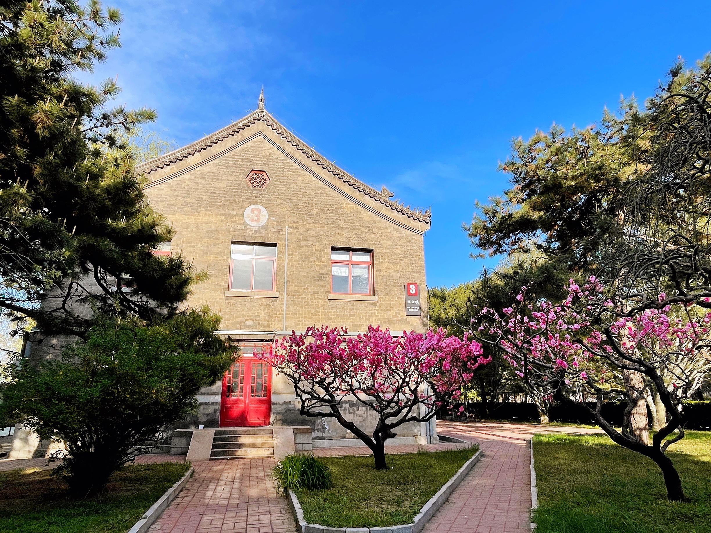 中央民族大学附属中学