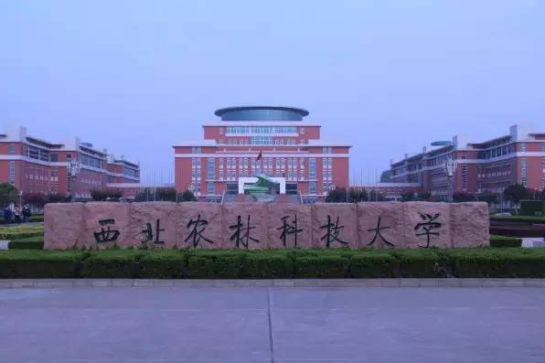 西北农林科技大学含金量