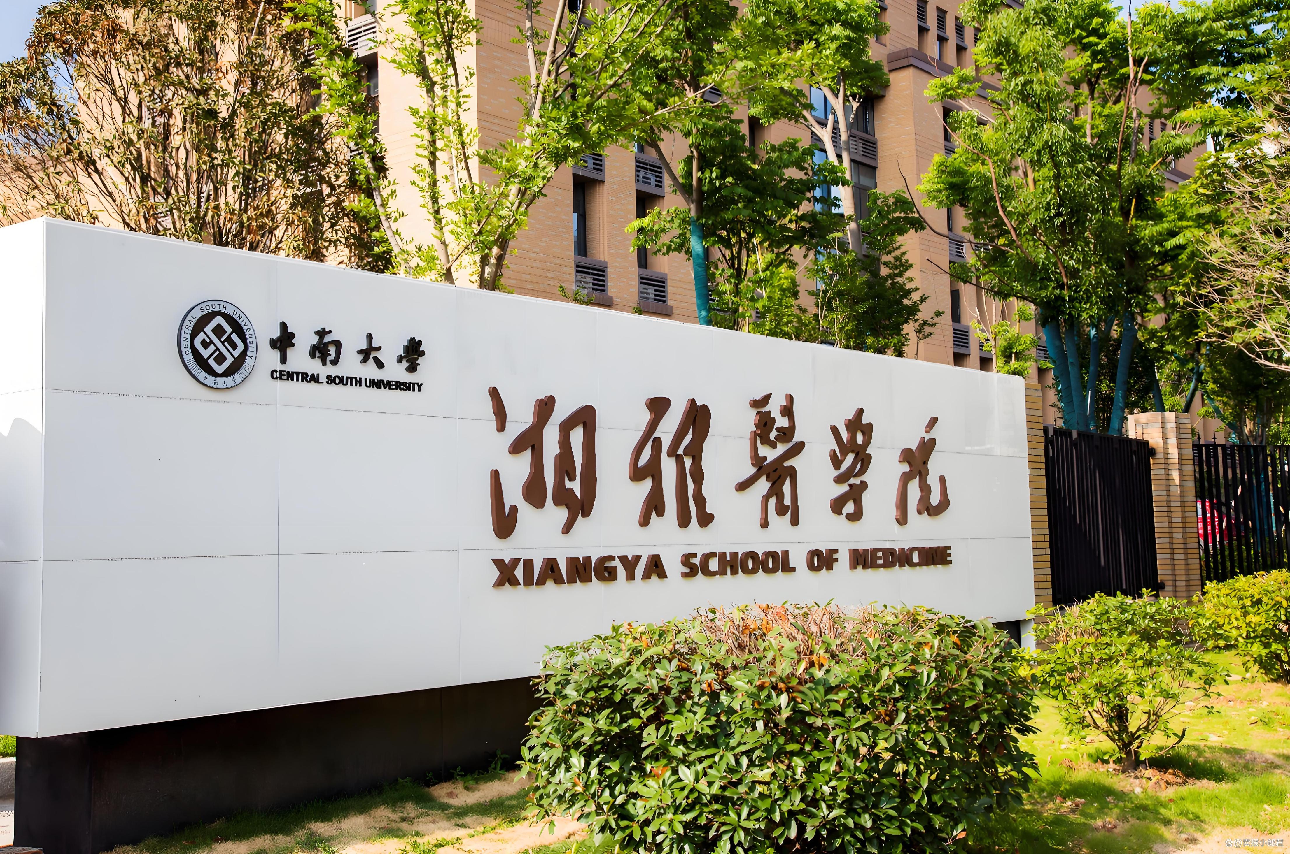 中南大学录取分数线2025年