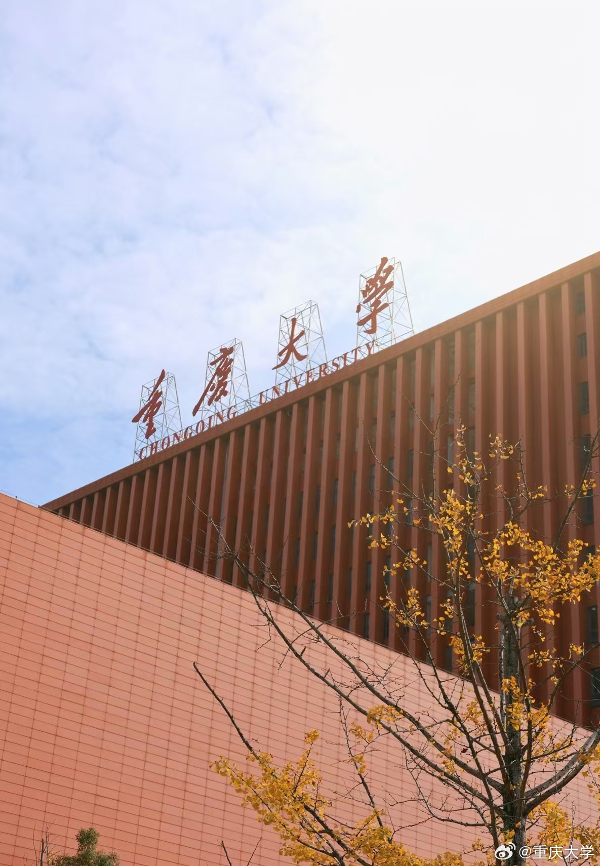 重庆大学排名